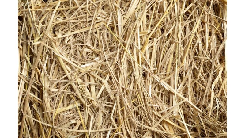 Samanlıkta İğne Aramak