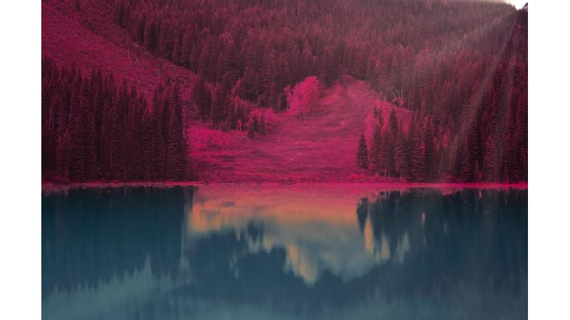 Bir Masala Hükmetmek