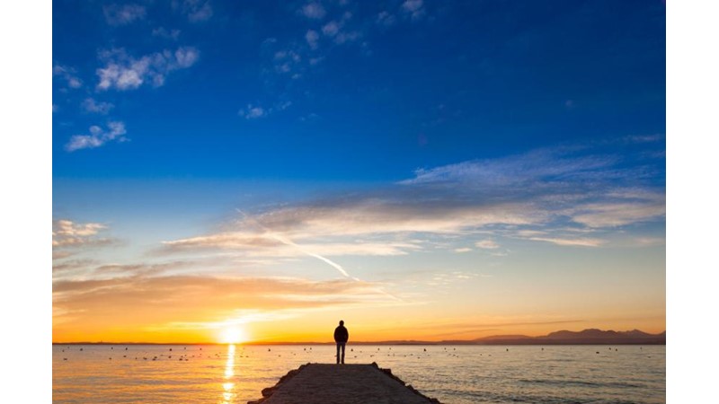 İçgüdülerin Hayallerle Çelişmesi