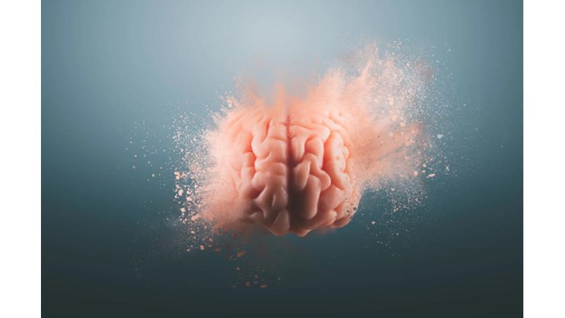 İnsan Zihninin Benimsemesi