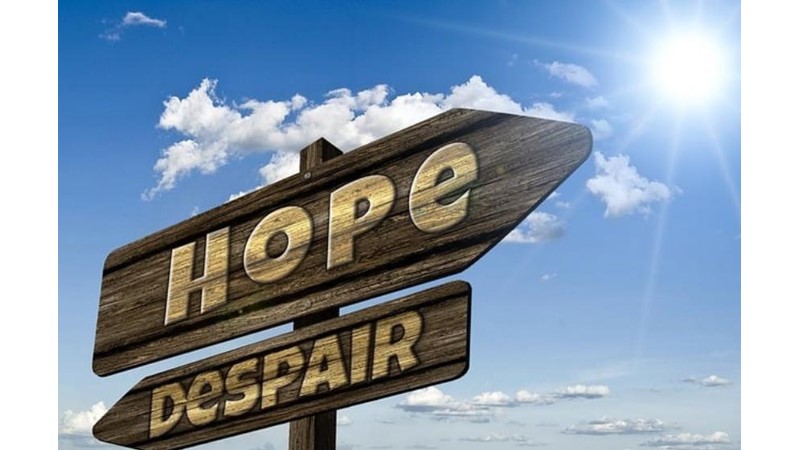 Beklenti Gerçekleştirme Oyunu