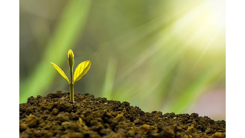 Temel İhtiyaçların Paraya Bağlanması Hatası