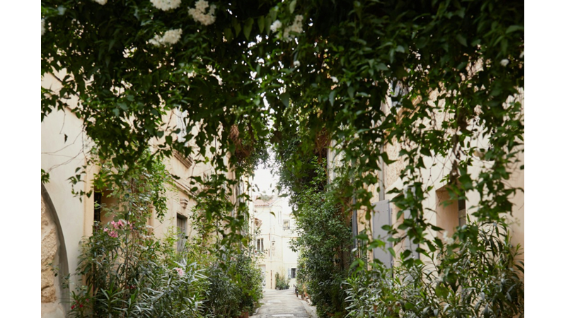 ÇİÇEKLERİN BAŞIMIZIN ÜSTÜNDE MECAZEN DEĞİL GERÇEKTEN BULUNMASI: ÇİÇEKLERİN YUKARIDAN AŞAĞI SARKTIĞI YAPILAR ÇOĞALSIN