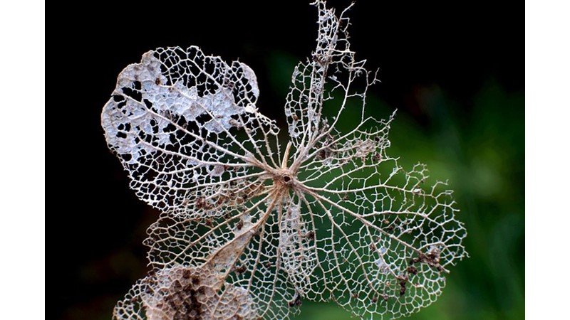 Geçmişin Silinemez İzleri