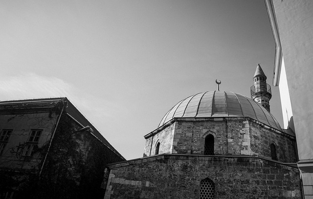 Osmanlı Şehzadeleri ve Sancak Eğitimi