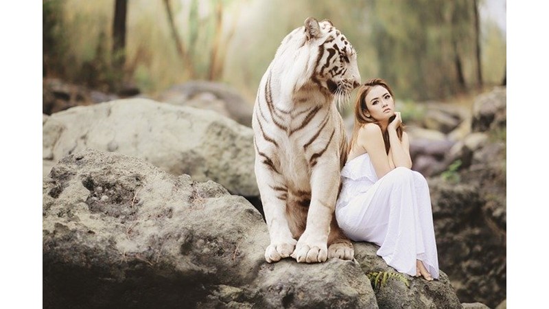 Mutluluk Salgılayalım (III)