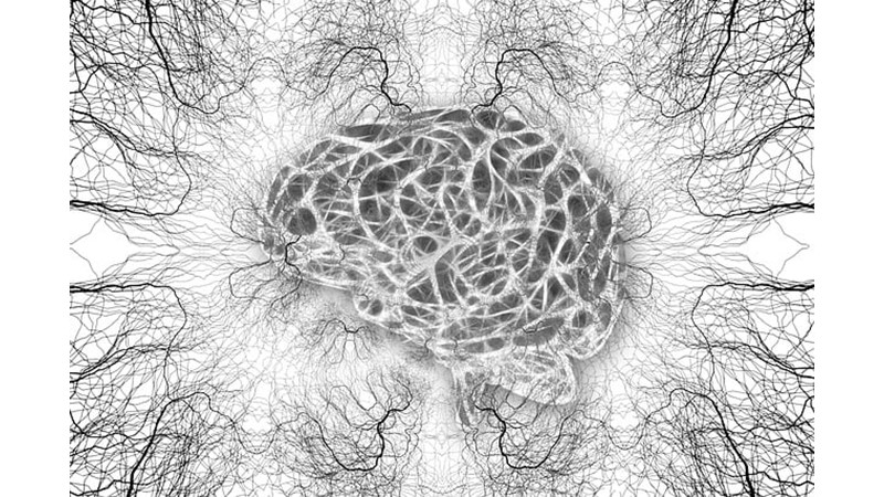 Gelişimin Hissi Beyin Etkisi