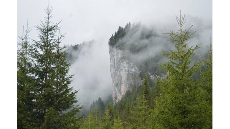 Ordunun Duyulması Yetti