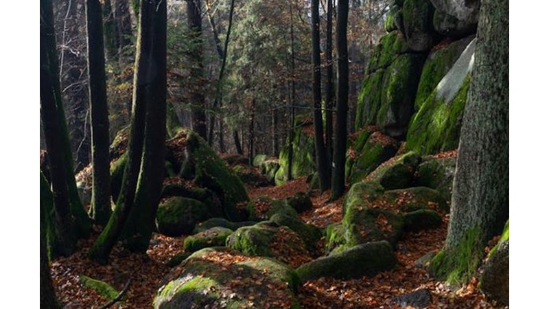 Hesaplaşma Vakti Geldi