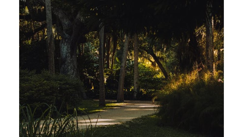 Osmanlı Ordusu'nun Harika Direnişi