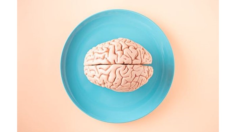 Akıl En Büyük Rehberdir