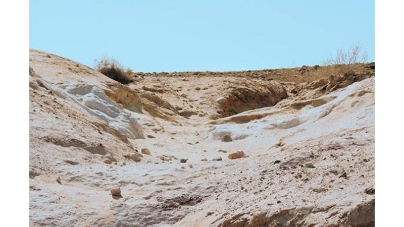 Büyük Sevinç Yaşandı