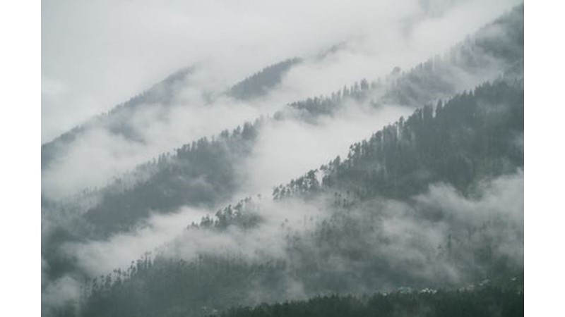 Tahta İlk Ulaşan Kazanır