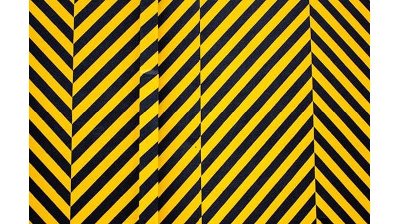 Özgür İrade İlüzyonu