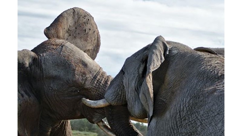 Doğada Güç Kavramı