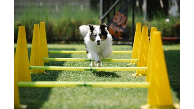 Dolaylı Yapılan İş