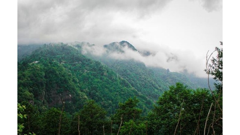 Aynı Anda İki Cephe