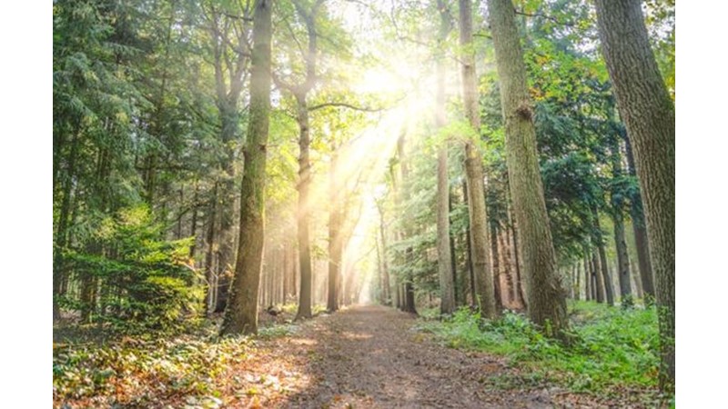 Başka Topraklarda Osmanlı Kalesi