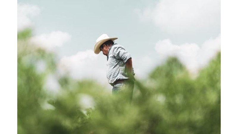 Çalışmanın Fayda Getirmediği Durumlar