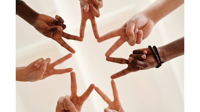 Güvenlik Algısı İle Gelen Dayanışma