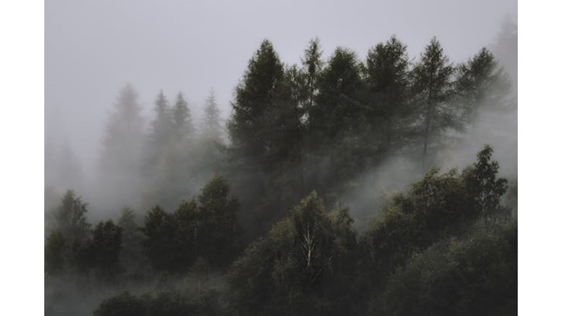 İki Taraf da Birbirine Saldıramıyor