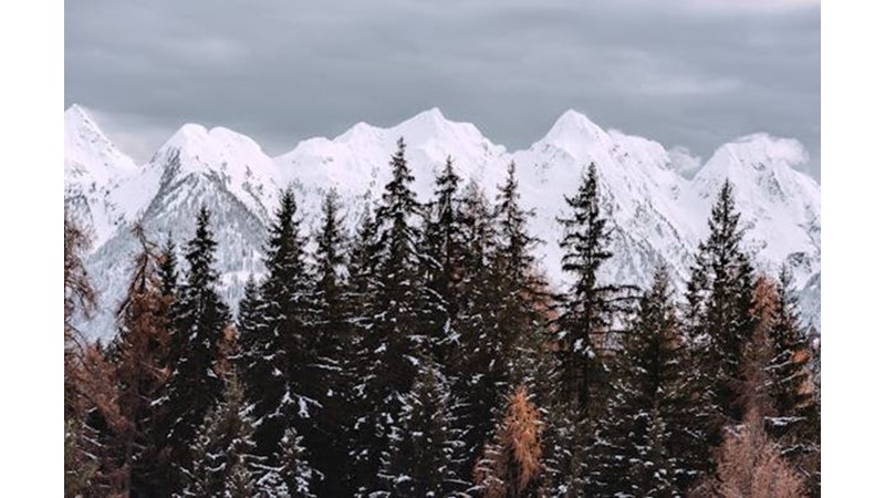 Saldırı Yıkıcı Oluyor