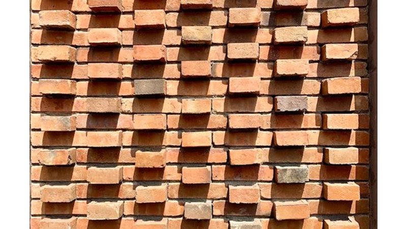 Düzenlenmiş Hareket