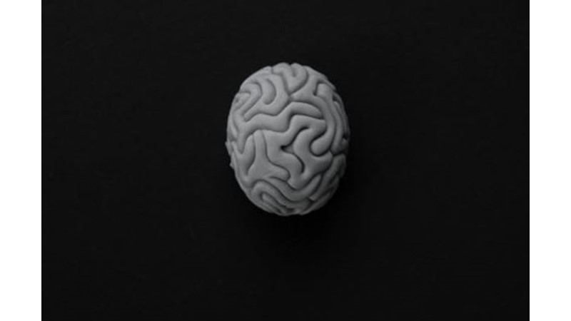 En Zor Bozulan Organ