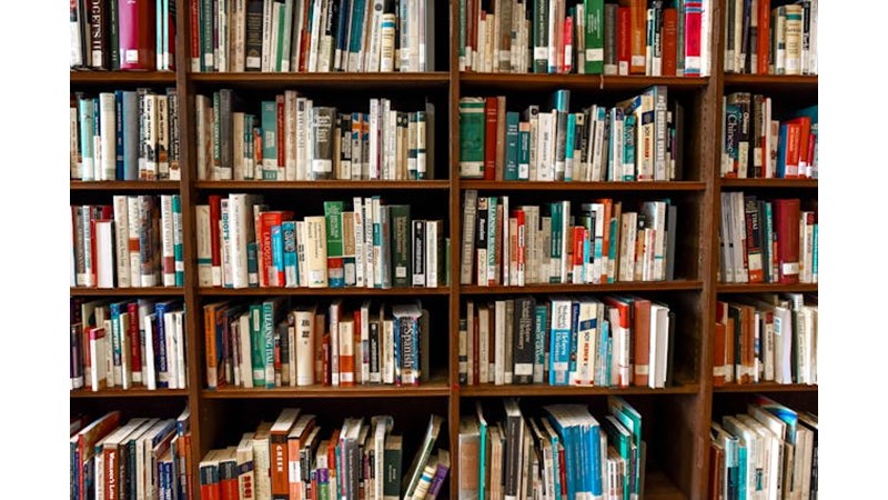 Ücretsiz Bilgi Ulaşımı