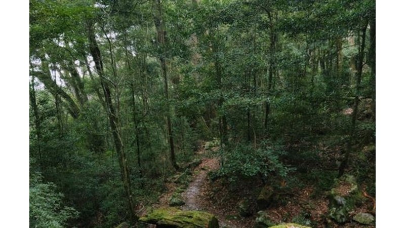 Osmanlı Devleti İkiye Bölündü