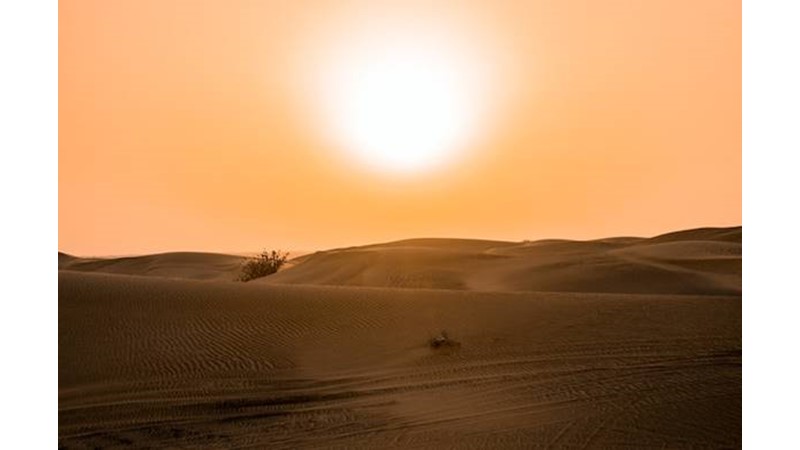 Savaş Kaçınılmaz