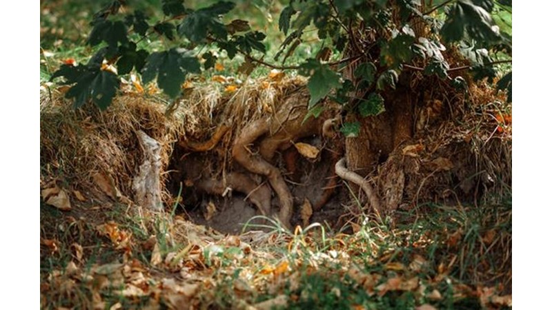 Akkoyunlular Dağıldı