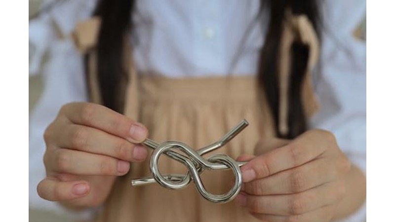 Bazı Şeyler Sadece Zeka ile Yapılabilir