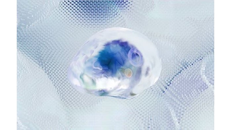 Akıl En Büyük Rehberdir