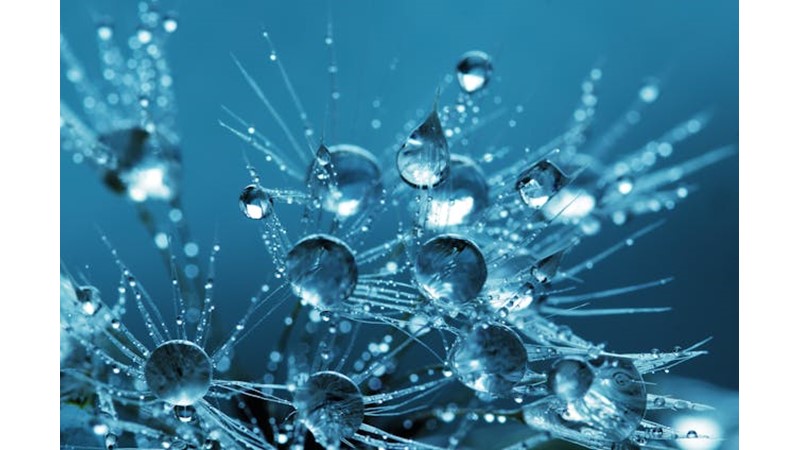 Bilimin Açığa Çıkardığı Realite