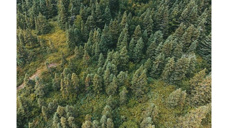 Kale Bir Türlü Alınamıyor