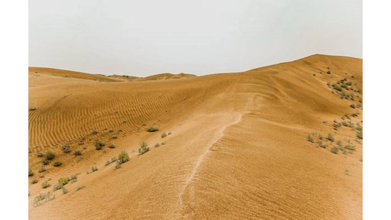 Kafkasya Hareketlendi