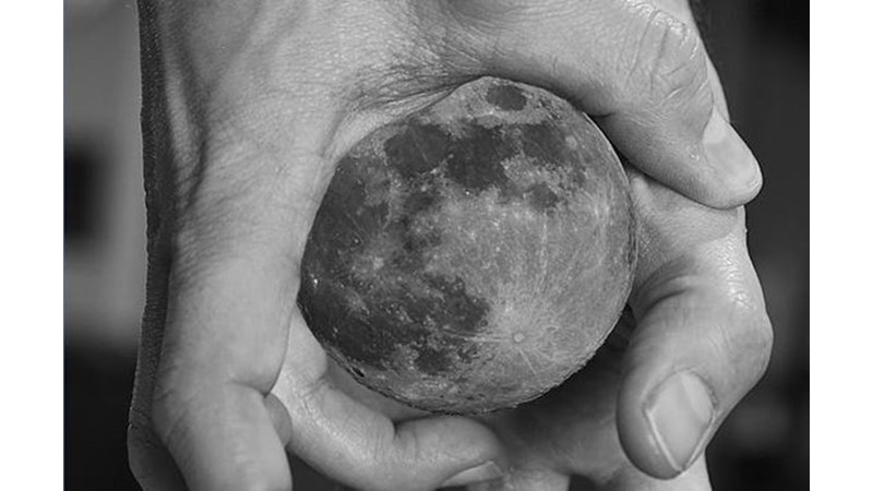 Açgözlülüğün Getirisi