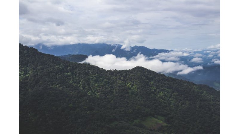 Karşı Saldırıda İyi Bir Başlangıç
