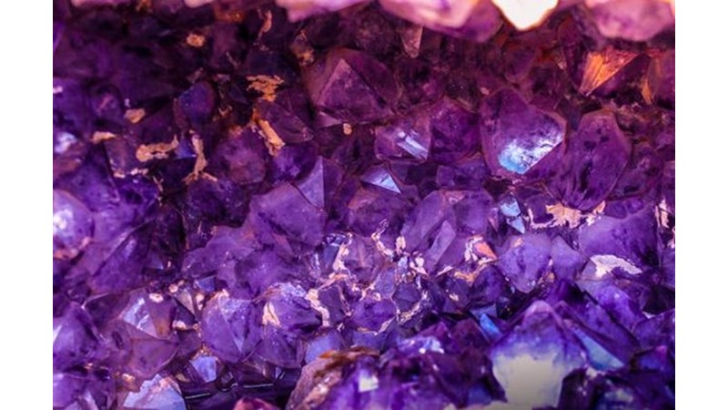 En İyisini Hak Edenler