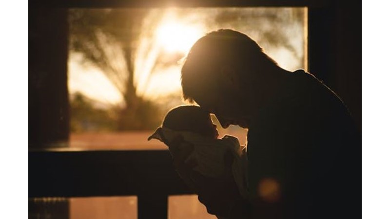 İnsanın Hayatı Algılaması