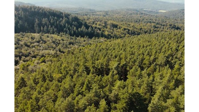 Diplomatik Çalışmalar Başladı