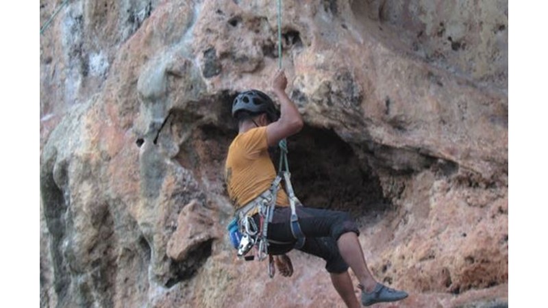 Kararlı İnsanların Önemi