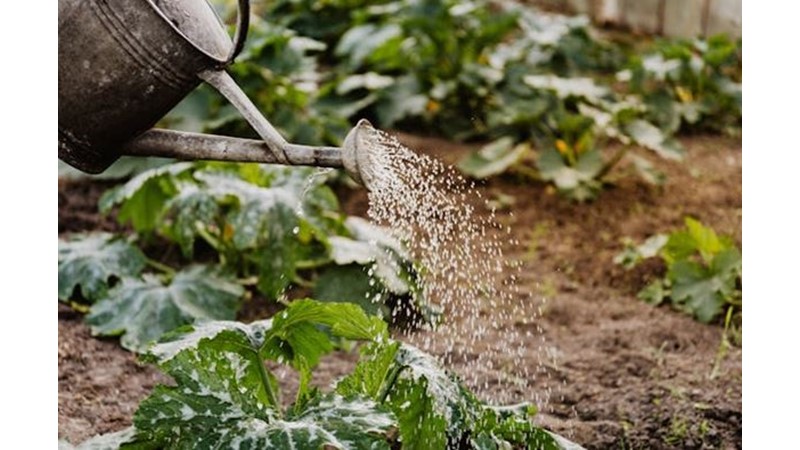 Kötü Olaylar da Sürecin, Büyümenin Bir Parçasıdır