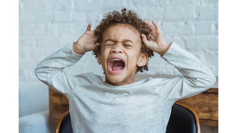 Rahat Edemeyen Zihinler