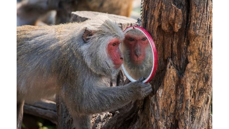 Bazı Şeyleri Sadece Kendimizle Konuşabiliriz