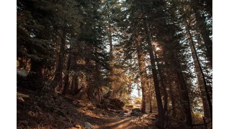 İlk Kez Geri Çekildi