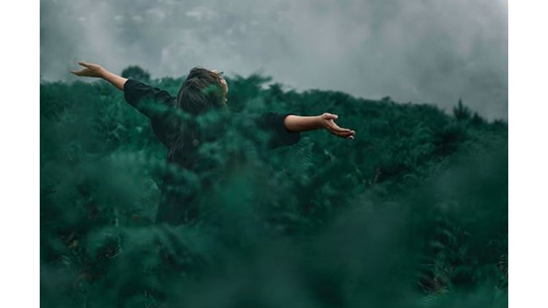 Bağımsız Fikir İnşası