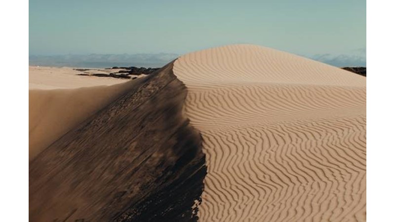 Gönüllü Katılım