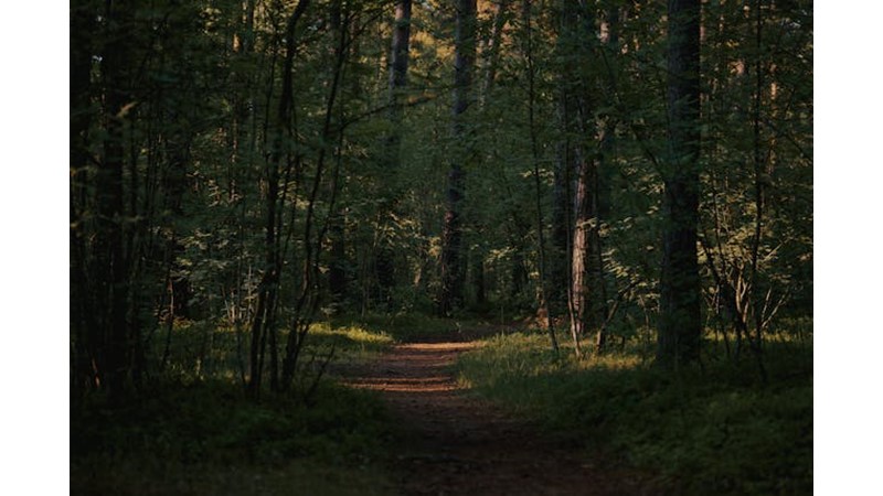 Sonunda Sınırlar Çizilebildi